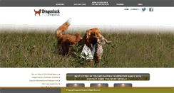 Desktop Screenshot of dragonluck.ca